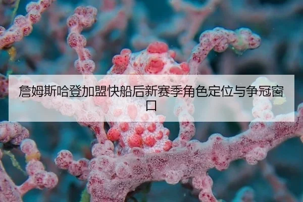 詹姆斯哈登加盟快船后新赛季角色定位与争冠窗口